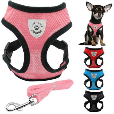 Small Dog Harness and Leash Set