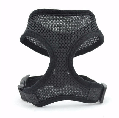 Small Dog Harness and Leash Set