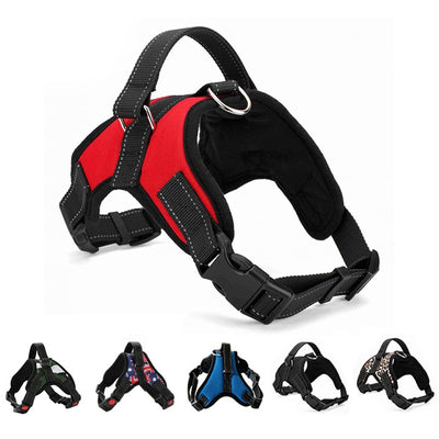 Adjustable Nylon Harness Collar Leash