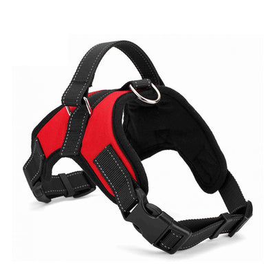 Adjustable Nylon Harness Collar Leash