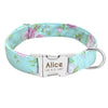 Dog Tag Collar Leash