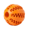 Funny Interactive Elasticity Ball Dog Toys